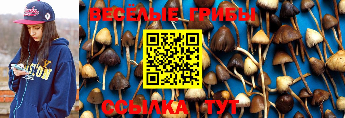 Дюртюли  Галлюциногенные грибы Magic Shrooms  Вход с VPN 